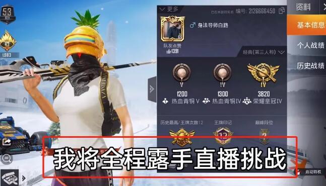 和平精英《敖光》辅助